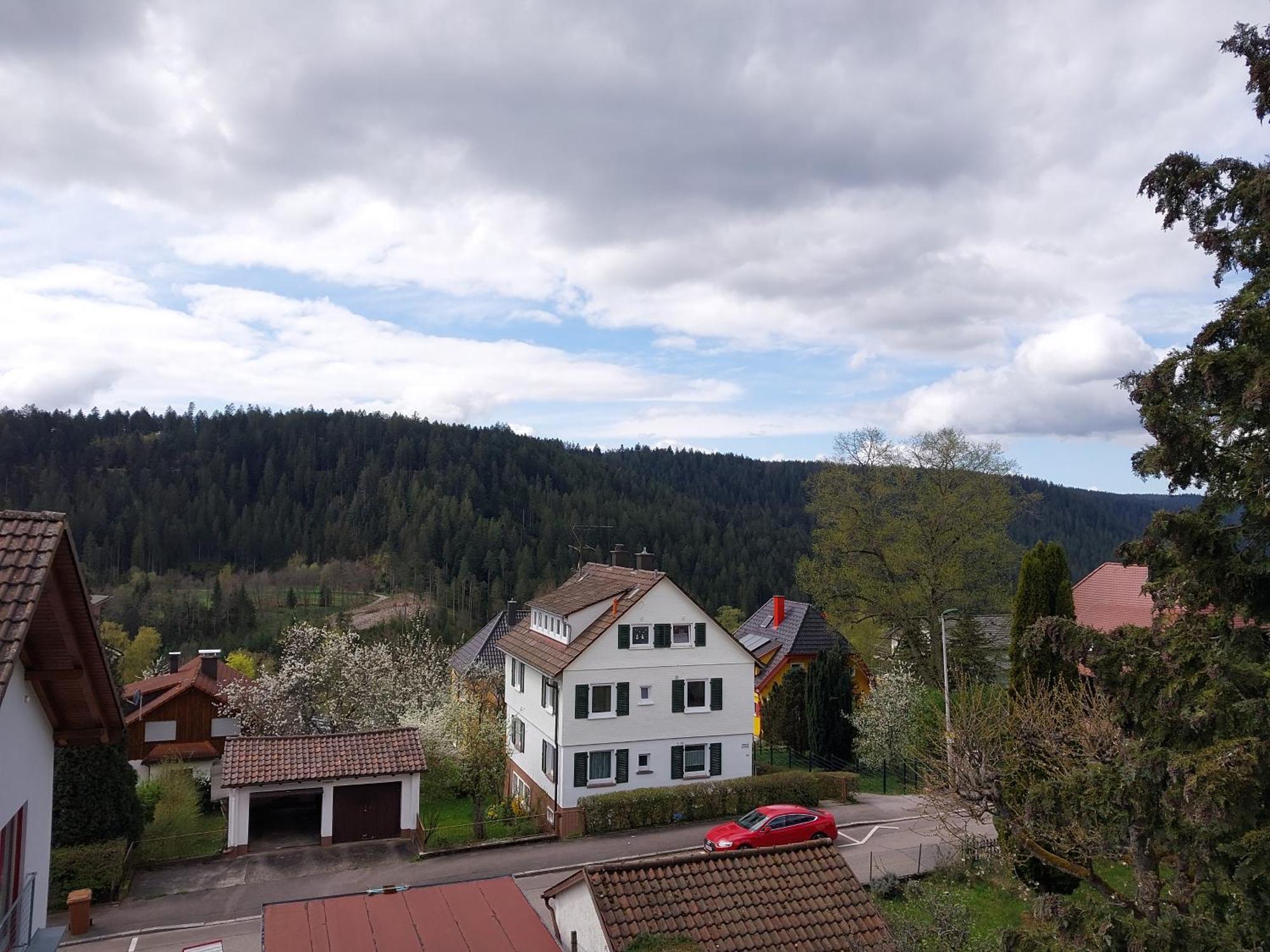 Fewo Salenberg Freudenstadt Extérieur photo